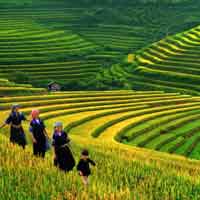 Đề 4: Cảm nhận về đoạn thơ: "Ta với mình, mình với ta... đều đều suối xa"