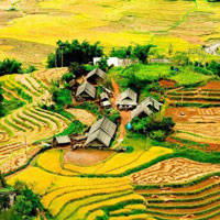 Đề so sánh các đoạn thơ Việt Bắc