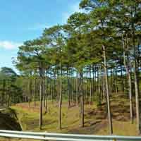 Đề 4: Làm sáng tỏ câu nói của cụ Mết: “Chúng nó đã cầm súng, mình phải cầm giáo" qua nhân vật Tnú và dân làng Xô Man