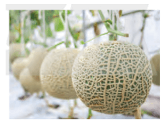 Toán lớp 4 trang 14 Đất nước em