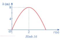 Bài tập 6 trang 77 sgk Toán 11 tập 1 Cánh diều