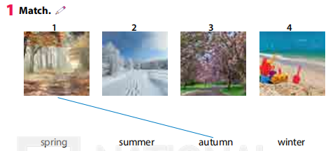 Tiếng Anh 3 Wonderful World Review 6 Part 4