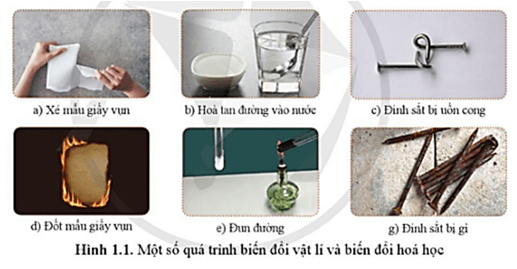 Khoa học tự nhiên 8