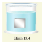 Khoa học tự nhiên 8