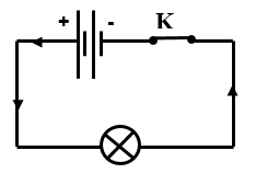 Khoa học tự nhiên 8