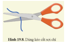 Khoa học tự nhiên 8