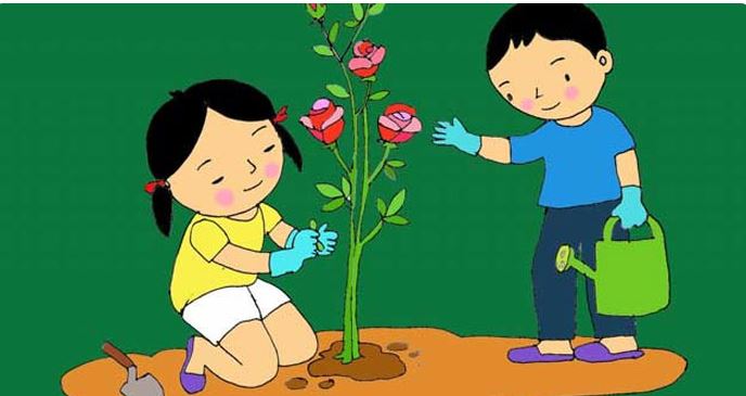 Kể về một việc mà em đã làm để chăm sóc cây xanh khi ở nhà