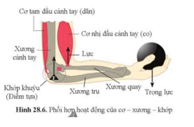 Khoa học tự nhiên 8