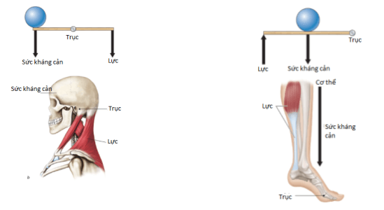Khoa học tự nhiên 8