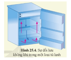 Khoa học tự nhiên 8