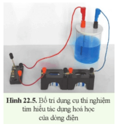 Khoa học tự nhiên 8