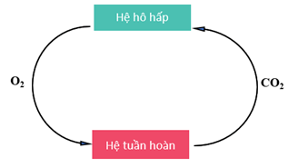 Khoa học tự nhiên 8