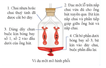 Khoa học tự nhiên 8