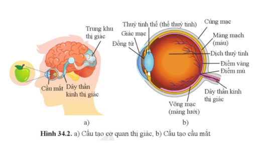 Khoa học tự nhiên 8