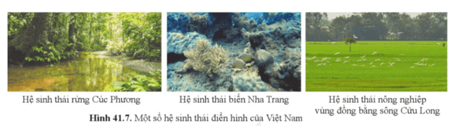 Khoa học tự nhiên 8