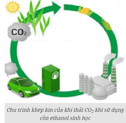 Vận dụng trang 43 Hoá học 11