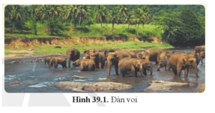 Khoa học tự nhiên 8