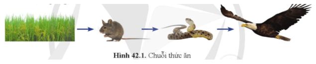 Khoa học tự nhiên 8