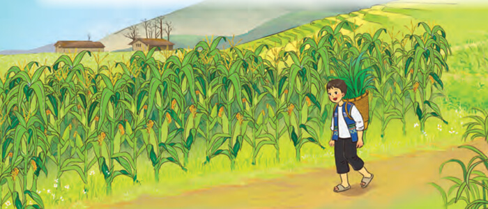 Đọc: Lên nương lớp 4