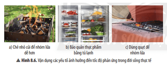 Khoa học tự nhiên 8