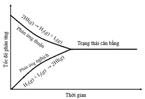 Hóa 11 Kết nối tri thức bài 1