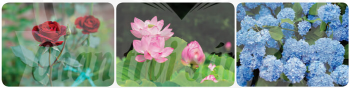 Luyện tập về tính từ trang 67 (tiếp)