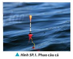 Vật lí 11 Chân trời sáng tạo bài 5