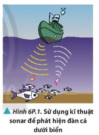 Vật lí 11 Chân trời sáng tạo bài 6