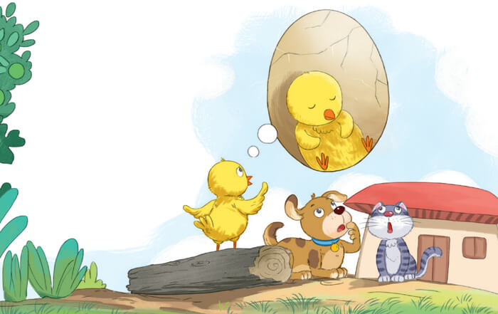 Bầu trời trong quả trứng