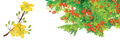 Những mùa hoa trên cao nguyên đá lớp 4