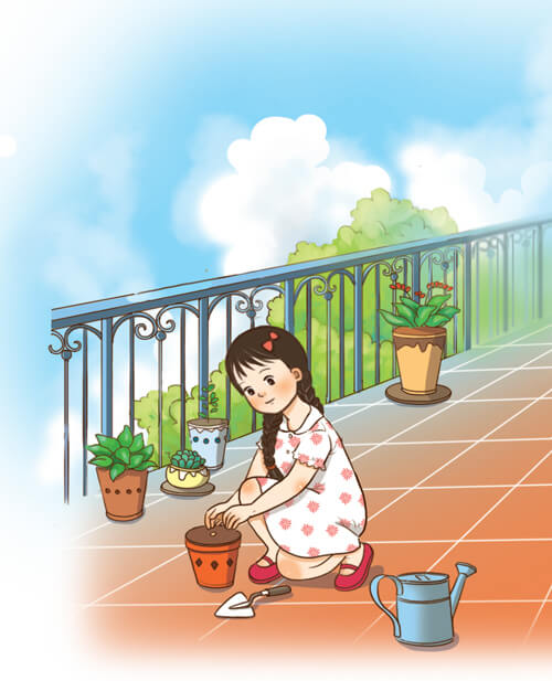 Cây táo đã nảy mầm lớp 4