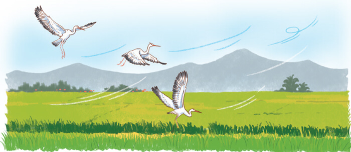 Luyện tập về biện pháp nhân hóa