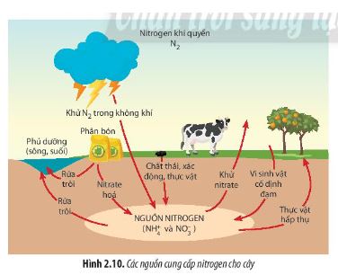 Sinh 11 Chân trời sáng tạo bài 2
