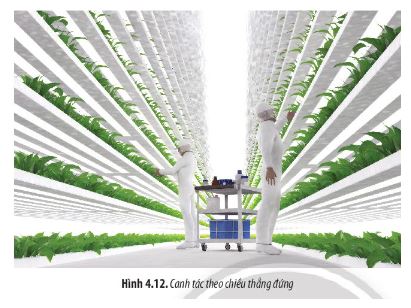 Sinh 11 Chân trời sáng tạo bài 4