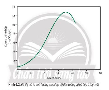 Sinh 11 Chân trời sáng tạo bài 6