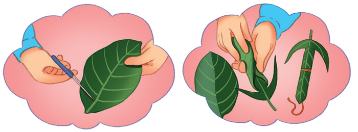 Tìm hiểu cách viết hướng dẫn thực hiện một công việc lớp 4