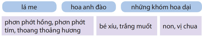 Nếu em có một khu vườn lớp 4