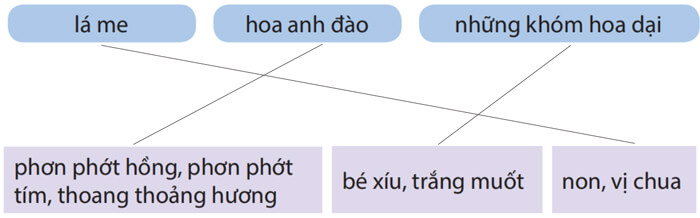 Nếu em có một khu vườn lớp 4