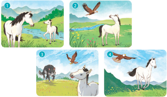 Kể chuyện Đôi cánh của ngựa trắng