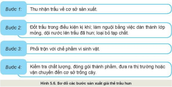 công nghệ 10