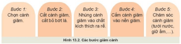 Công nghệ 10