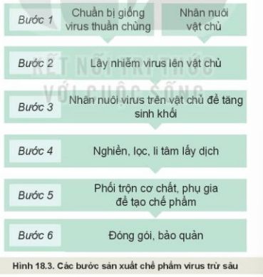 công nghệ 10