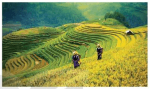 Câu hỏi trang 25 Lịch Sử và Địa Lí lớp 4