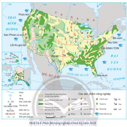 Địa lí 11 Chân trời sáng tạo bài 18