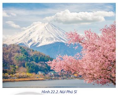 Địa lí 11 Chân trời sáng tạo bài 22