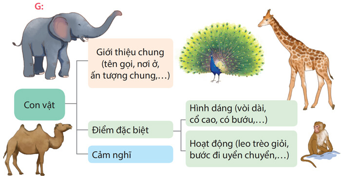  Ôn tập cuối học kì 1 - Tiết 5