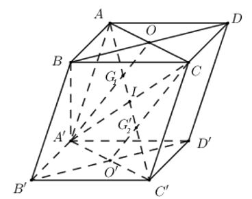 Toán 11 Chân trời sáng tạo bài 4