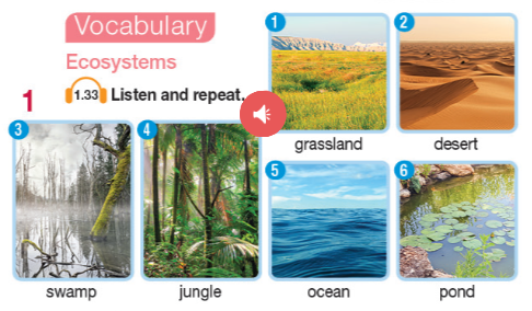 Tiếng Anh 11 Bright Unit 3 Introduction