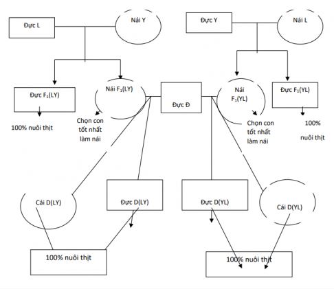 Công nghệ 11 Kết nối tri thức bài