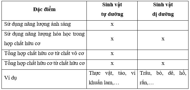Luyện tập trang 6 Sinh học 11